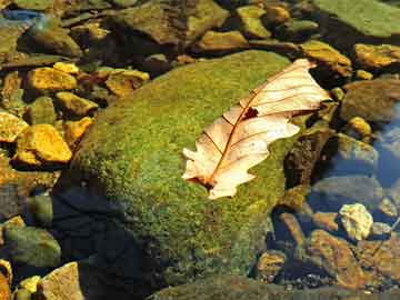 網(wǎng)絡(luò)安全顧問(wèn)關(guān)于安全軟件手機(jī)版本低不能安裝微信與遠(yuǎn)航游戲大廳官方下載錢(qián)包版_v6.391的解讀分析